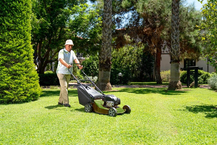 eco self propelled lawn mower